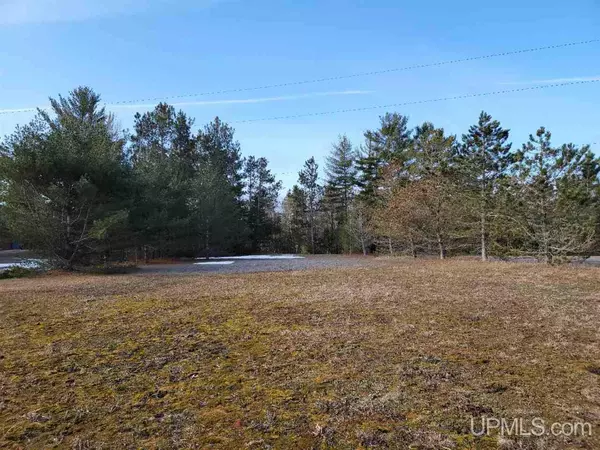 Manistique, MI 49854,TBD Woodland Drive