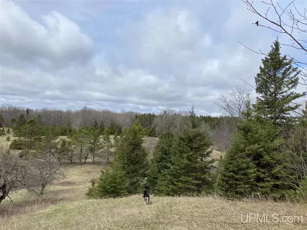 Limestone, MI 49891,TBD Magnusson