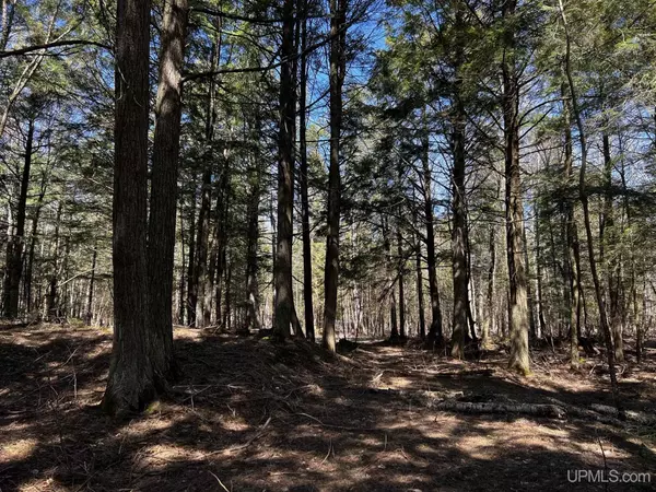 Manistique, MI 49854,TBD Hemlock View Trail