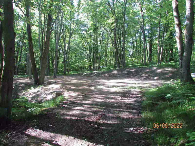 Lot 619 Timber Rd, Farwell, MI 48622