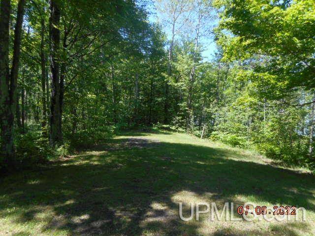 Ontonagon, MI 49953,24190 St. Hwy M64