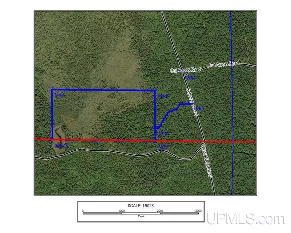 Michigamme, MI 49861,TBD1 Off Cut Across Road