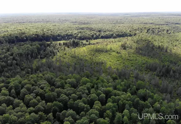 Michigamme, MI 49861,TBD1 Off Cut Across Road