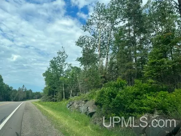 Crystal Falls, MI 49920,63 acres M69