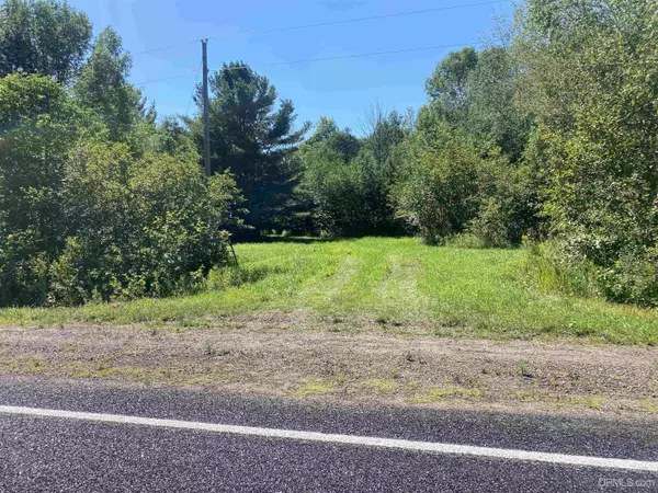 Ontonagon, MI 49953-1111,TBD LP Walsh Rd