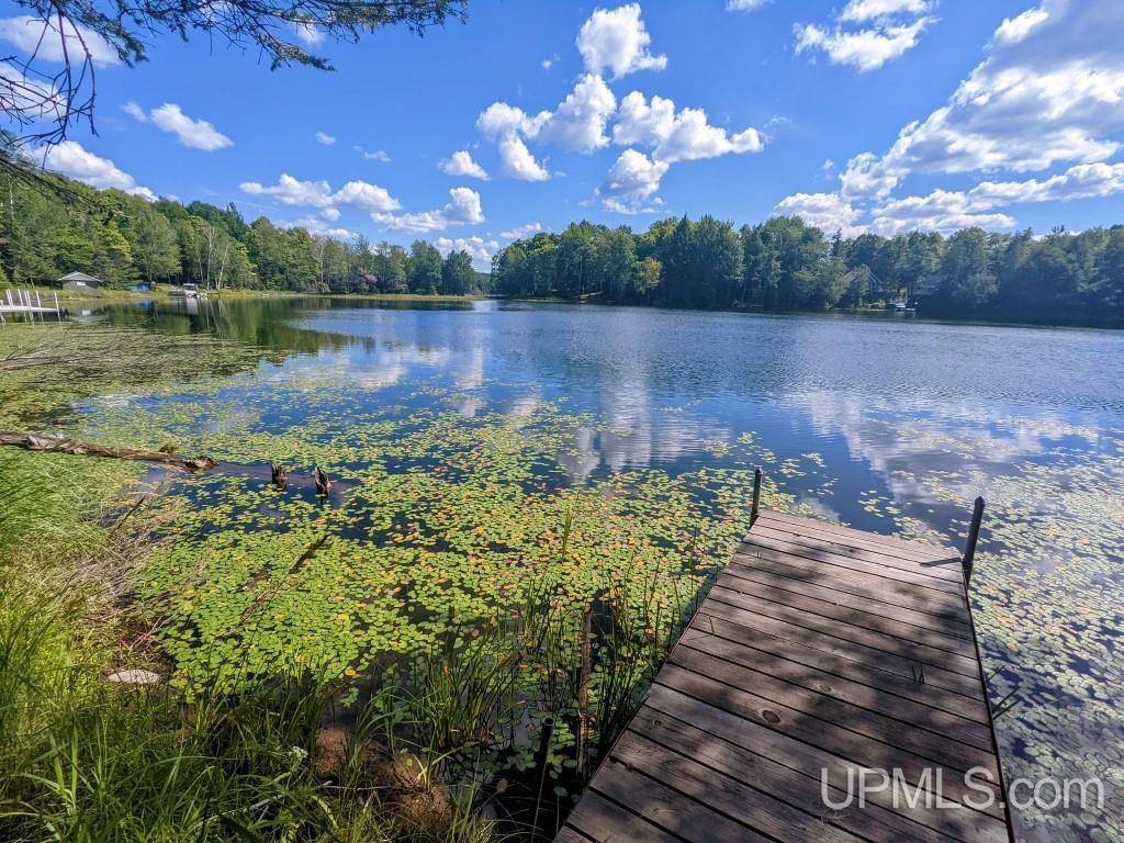 Bruce Crossing, MI 49912,19819 McGinty Ln