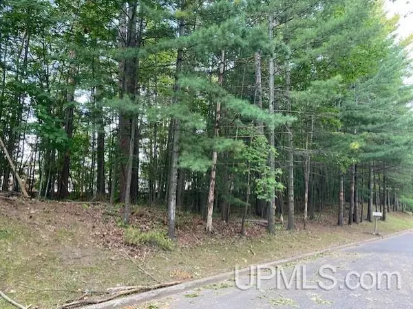 Marquette, MI 49855,Elder Drive Lot 7