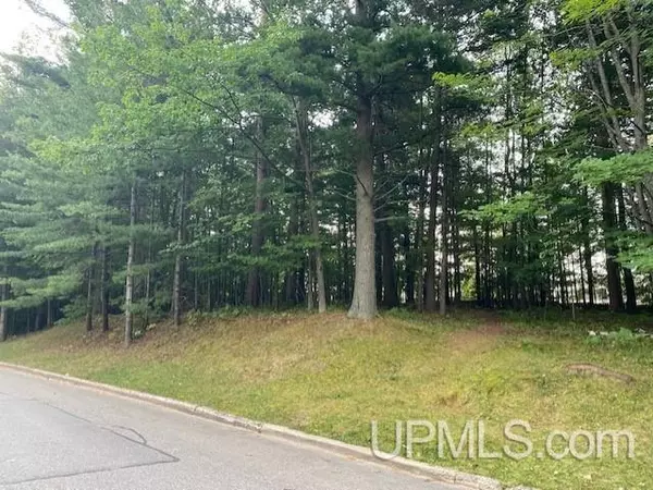 Marquette, MI 49855,Lot 9 Elder Drive