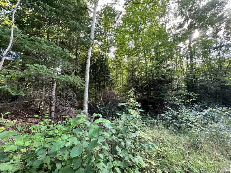 Lot 159 Blue Rd, Nisula, MI 49952