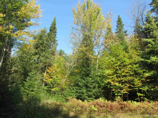 Michigamme, MI 49861-0000,22.34 Acres Fence Lake Road