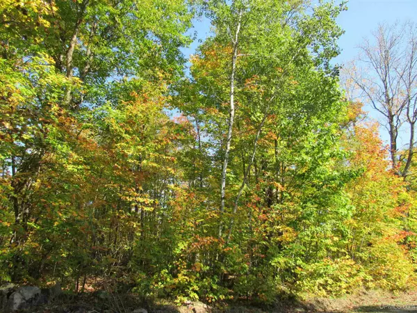 22.34 Acres Fence Lake Road, Michigamme, MI 49861-0000