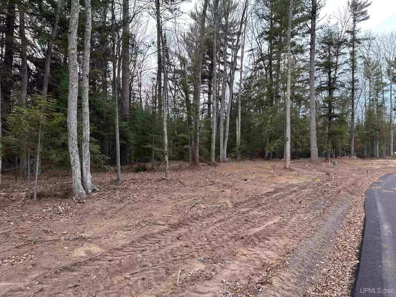 Lot 5 Parker Lane, Marquette, MI 49855