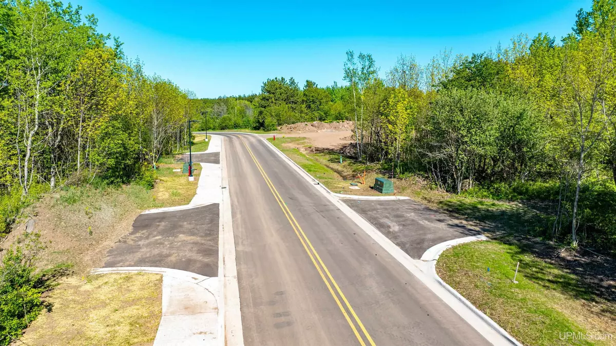 Hancock, MI 49930,TBD6 Dolomite Drive