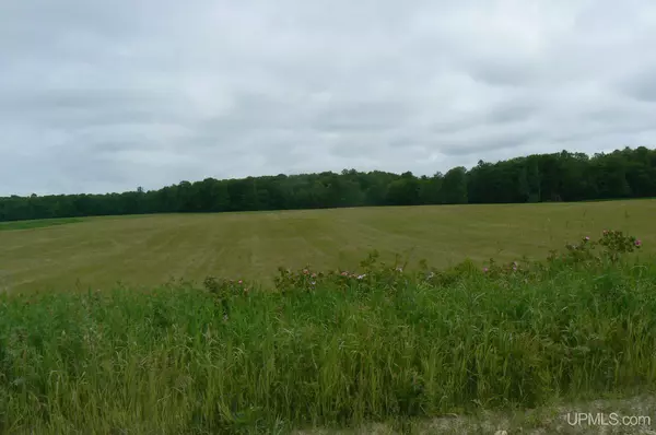 Eben Junction, MI 49825,TBD Ferguson Rd.