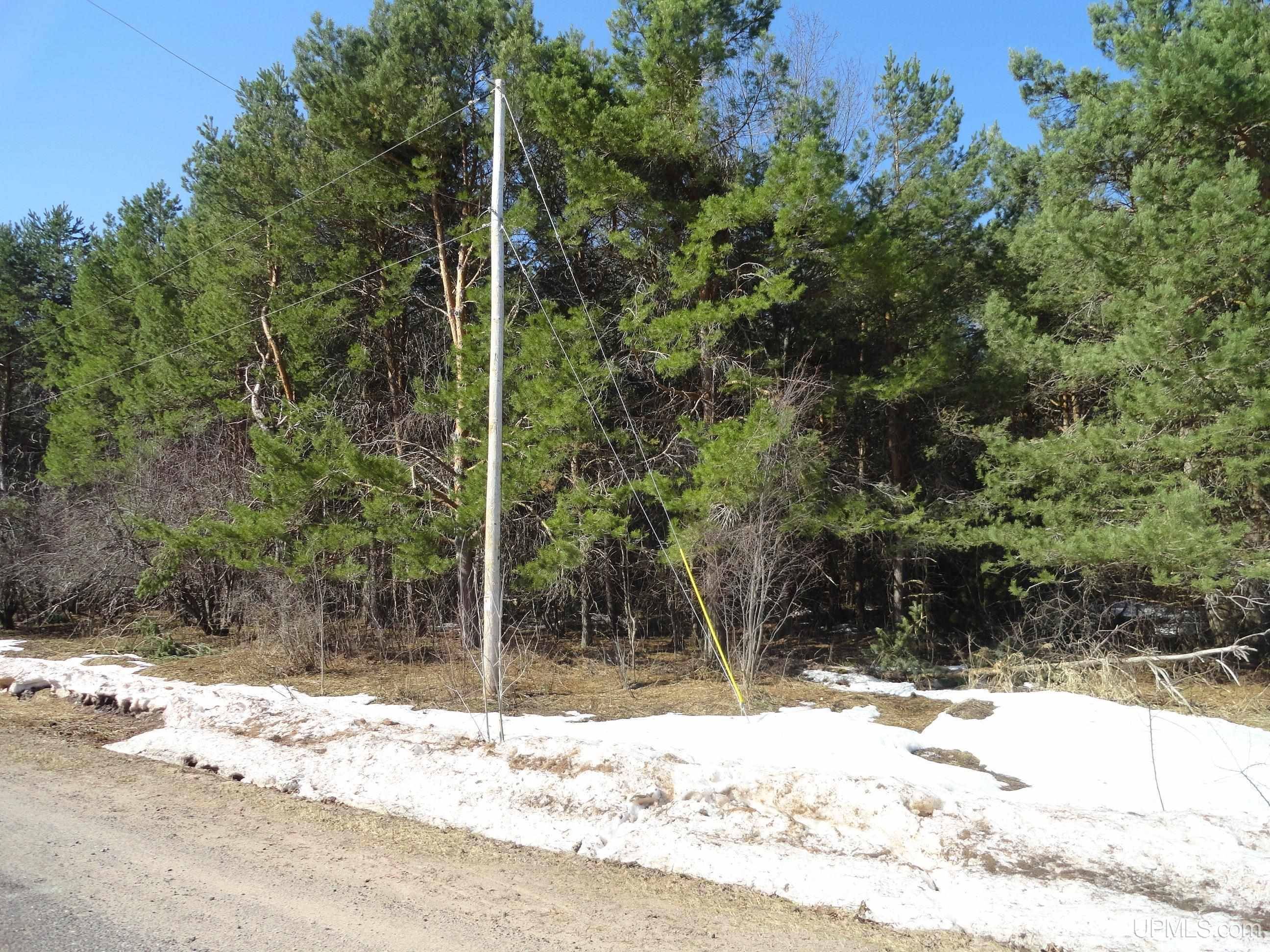 TBD S Paynesville Rd, Bruce Crossing, MI 49912