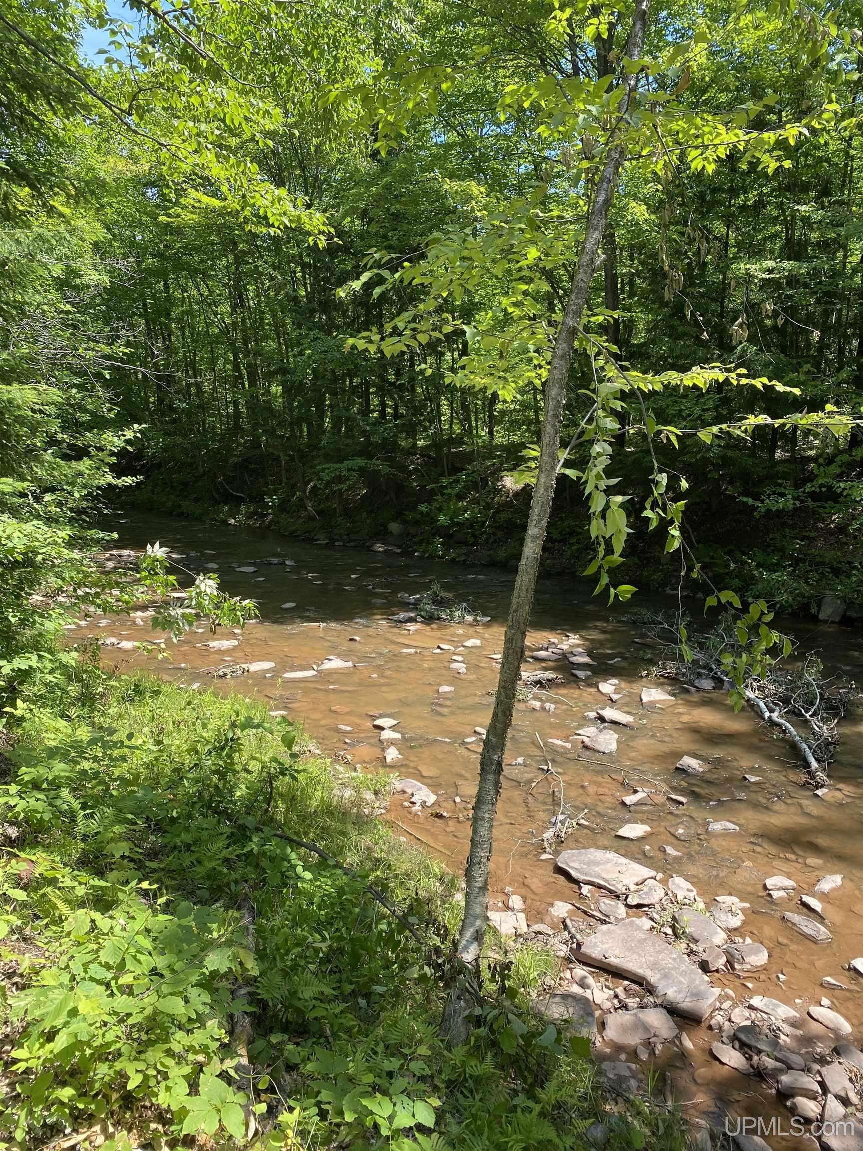 Ontonagon, MI 49953,TBD Kingfisher Road