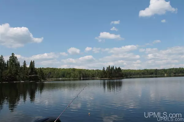 Michigamme, MI 49861,Lot 27 Secluded Point Road