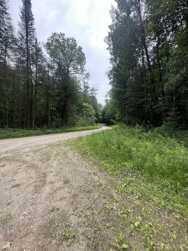 Rapid River, MI 49878,TBD DD Road