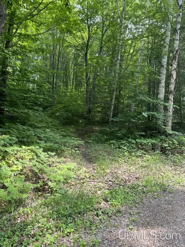 Wetmore, MI 49895,TBD E Lot 43 Tie Lake Rd