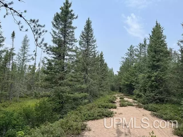 720 Acres off North Camp Road, Ishpeming, MI 49849