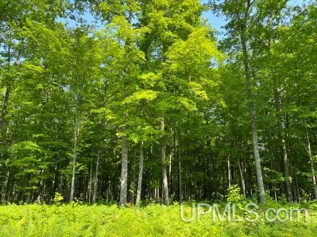 77.61 Acres Birch Hill Road, Amberg T-wi, WI 54102