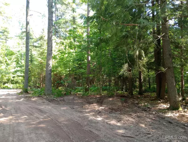 Marquette, MI 49855,TBD White Pine (Lot 2) Way