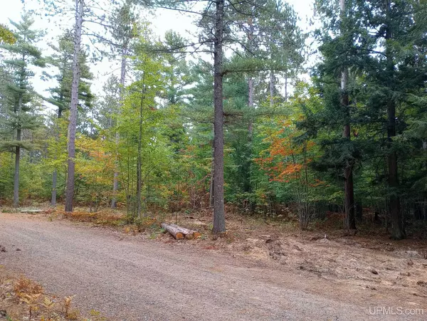 TBD White Pine (Lot 4) Way, Marquette, MI 49855