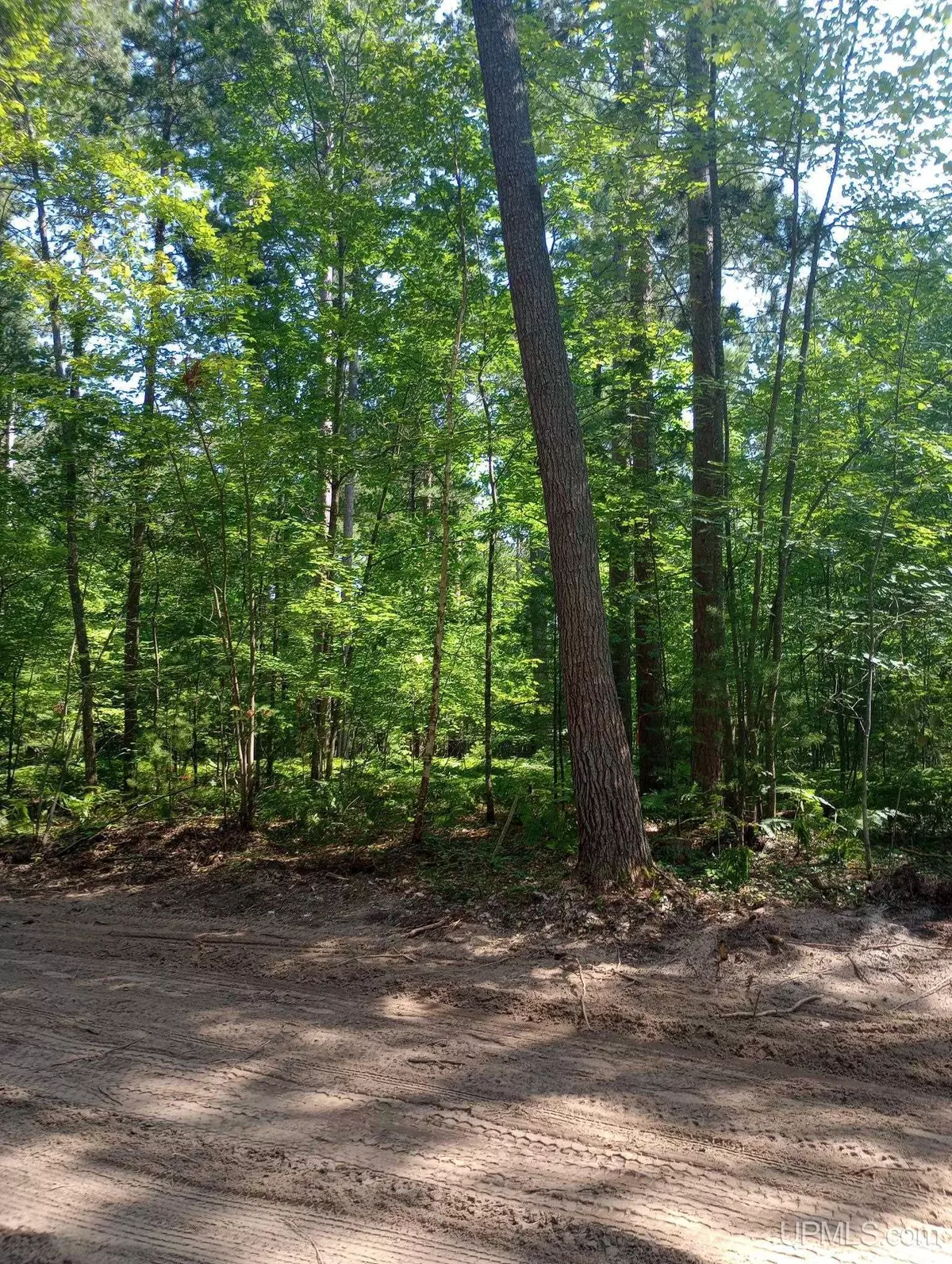 Marquette, MI 49855,TBD White Pine (Lot 6) Way