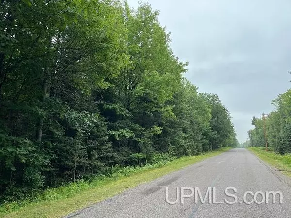 Ishpeming, MI 49849,40 Acres Stoneville Road