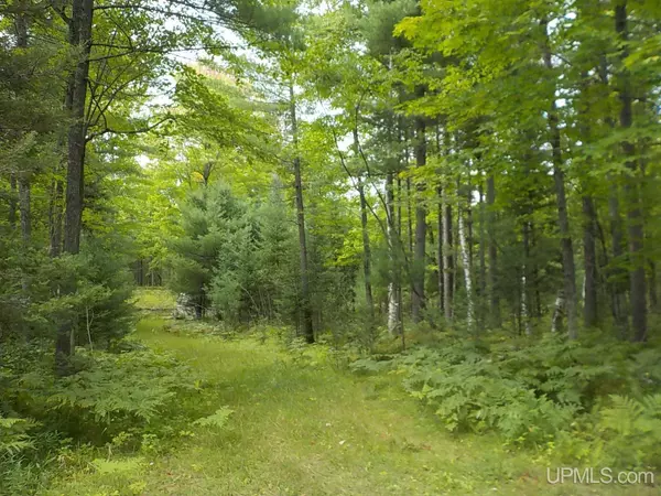 Crystal Falls, MI 49920,5 ac, Parcel B Tirapelli Lane