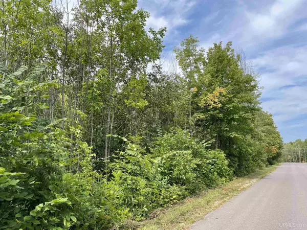 4 Acres Off of Whitefish Road, Deerton, MI 49822