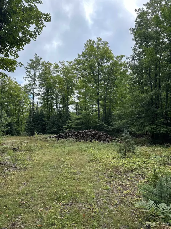 Negaunee, MI 49866,Lot #4 Maple Ridge Road