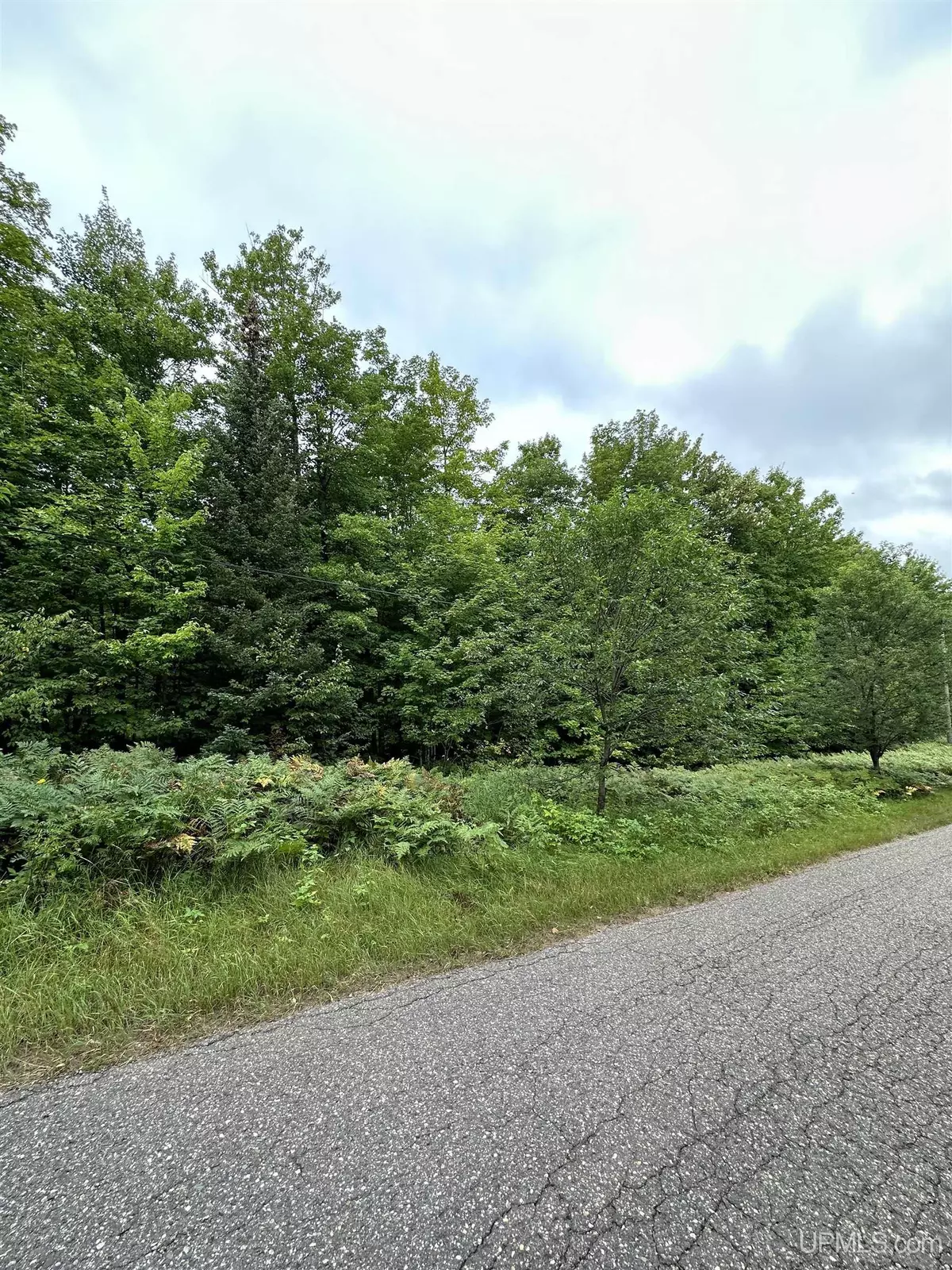 Negaunee, MI 49866,Lot #5 Maple Ridge Road