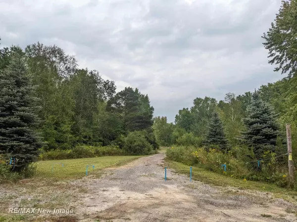 8815 E Garfield Road, Ashley, MI 48806