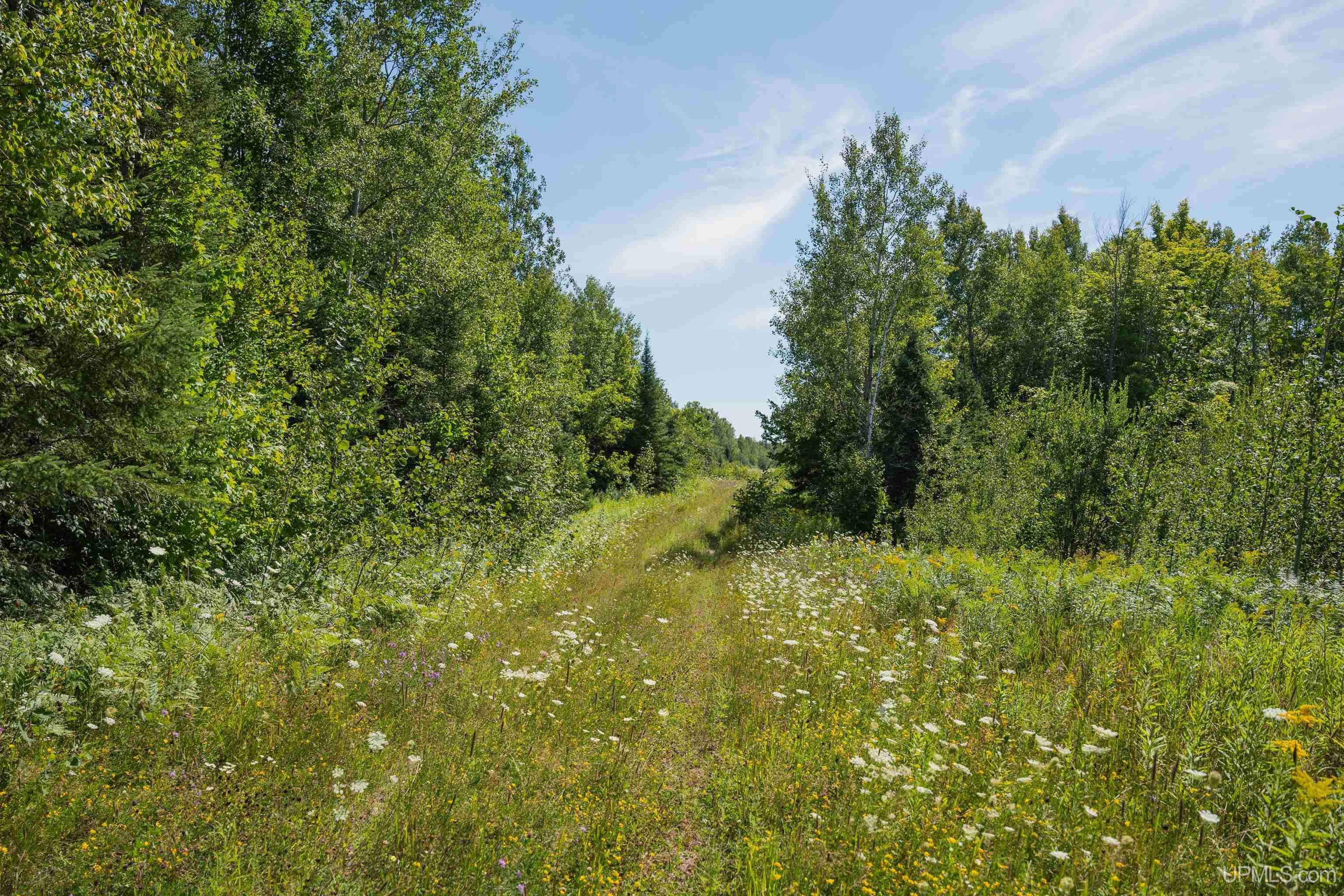 TBD M38 Highway, Greenland, MI 49929
