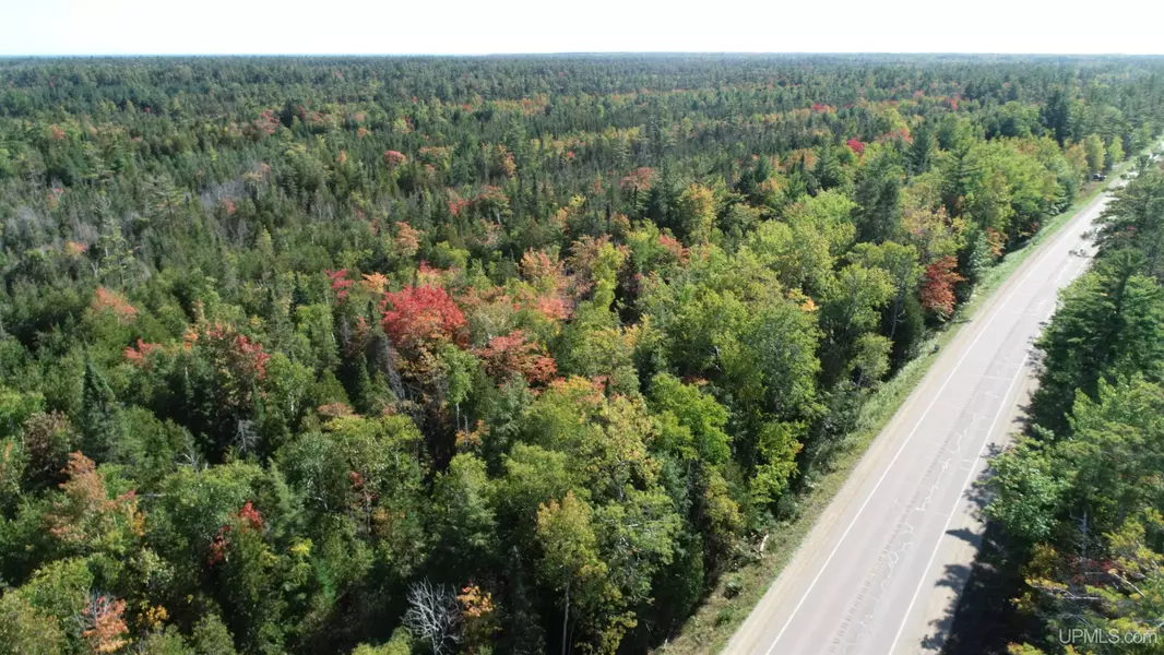 TBD Co Rd 442 Road, Manistique, MI 49854