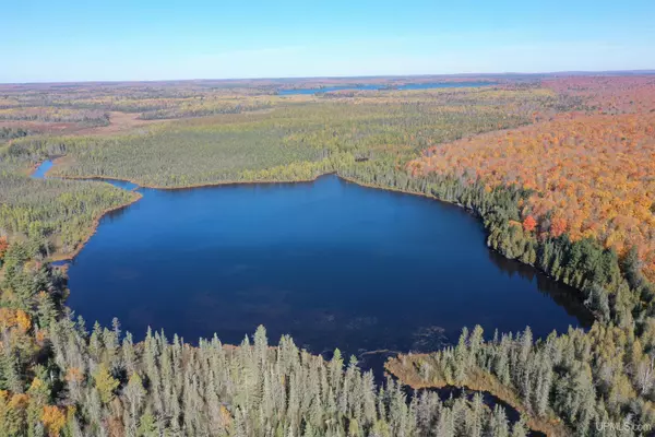 527 USFS RD 2130 Road, Iron River, MI 49935