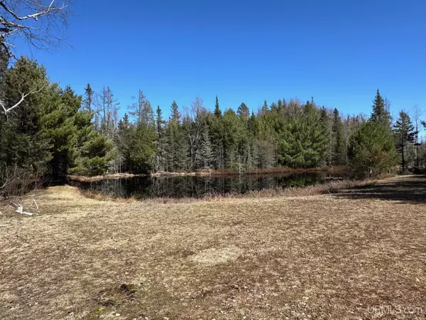 Michigamme, MI 49861-0000,TBD 15 Acres Green Road