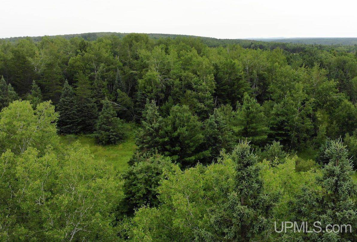 Bruce Crossing, MI 49912,TBD 15 Grenlund Road