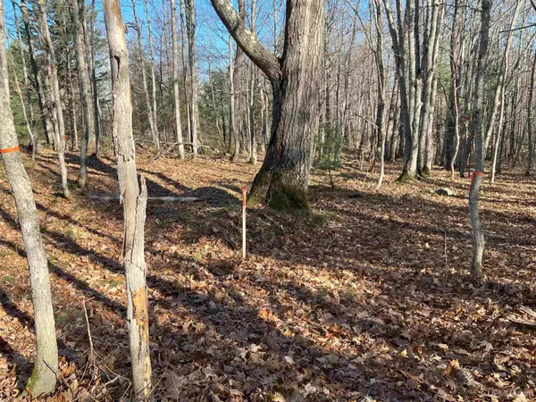 TBD-undeveloped Oak Ridge Lane, Houghton, MI 49931