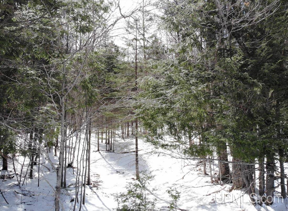 TBD210 Rousseau Road, Mass City, MI 49948