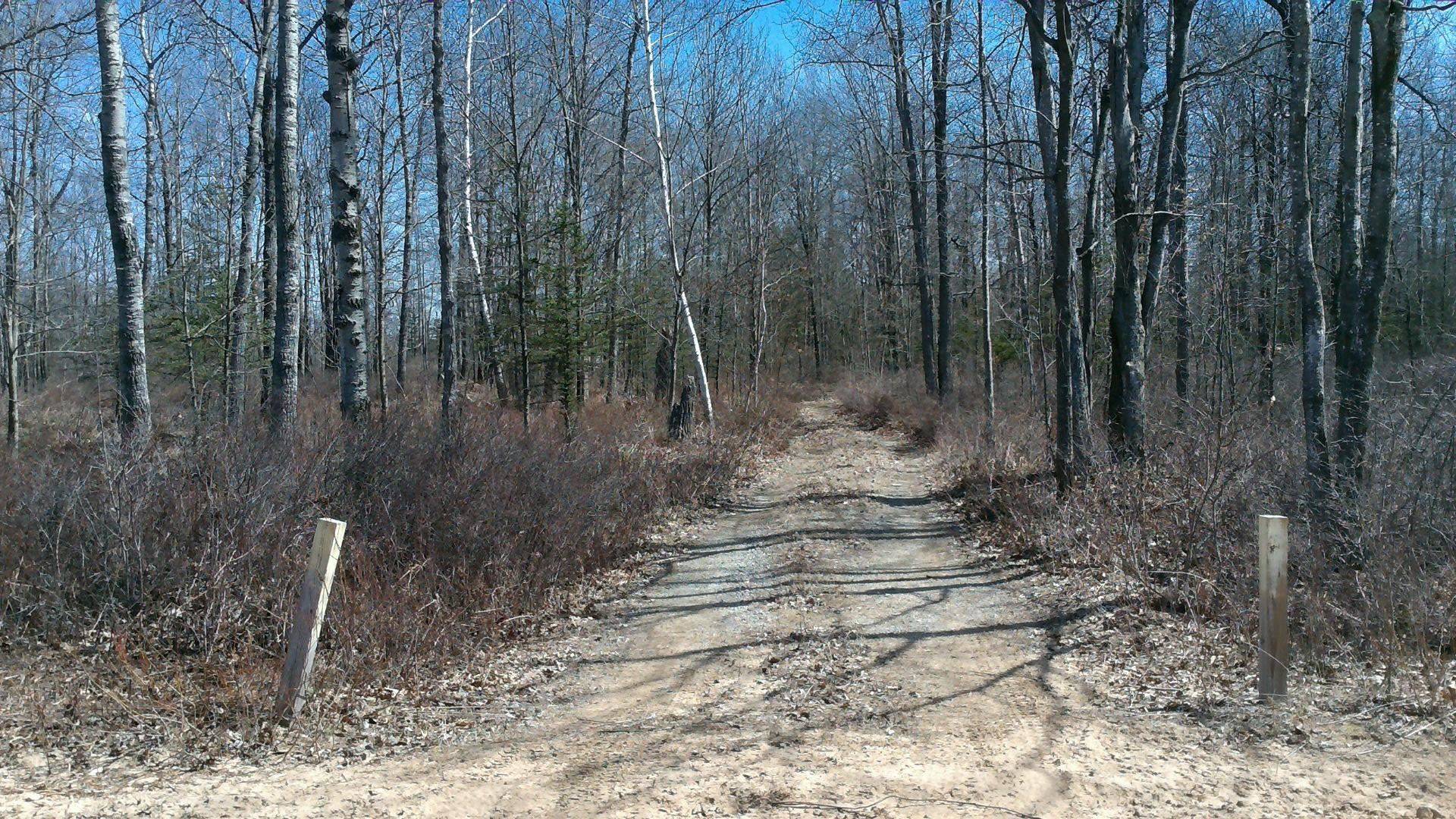 NHN Eastman Road, Bentley, MI 48613