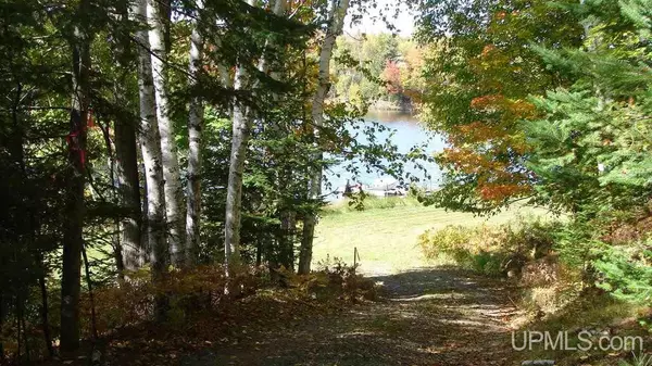 Crystal Falls, MI 49920,4.64 ac. Idlewild Road