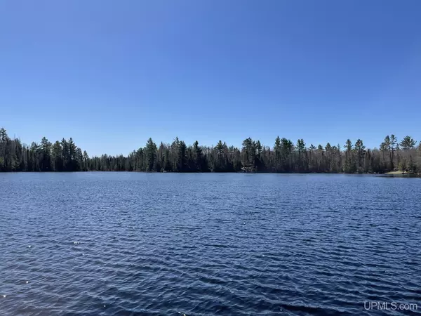 TBD off S Arfelin Lake Road, Michigamme, MI 49808