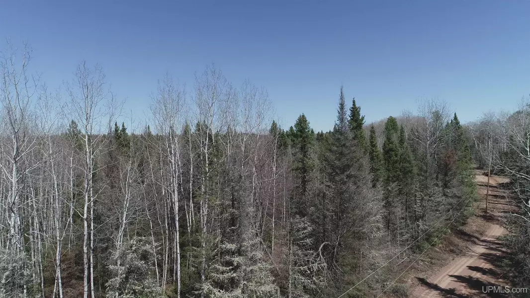 252 Acres Helen Lake Road, Republic, MI 49879