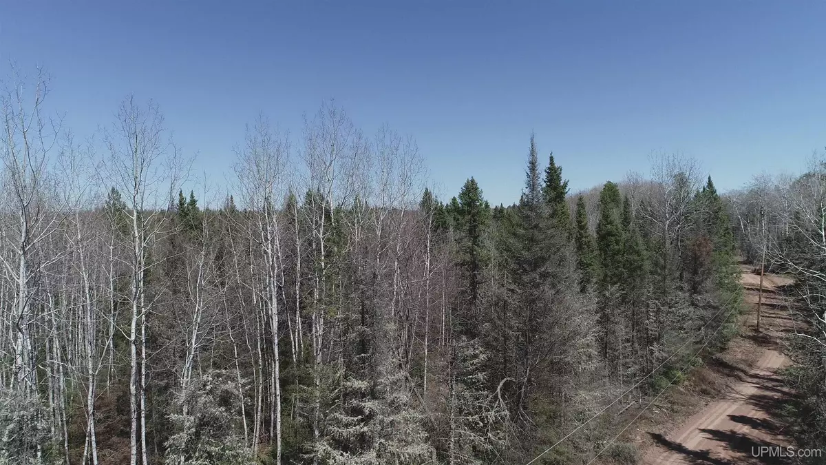 Republic, MI 49879,252 Acres Helen Lake Road