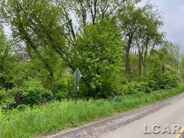 Onsted, MI 49265,8000 BLK LOT 9 Stephenson Road