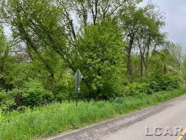 8000 BLK LOT 9 Stephenson Road, Onsted, MI 49265