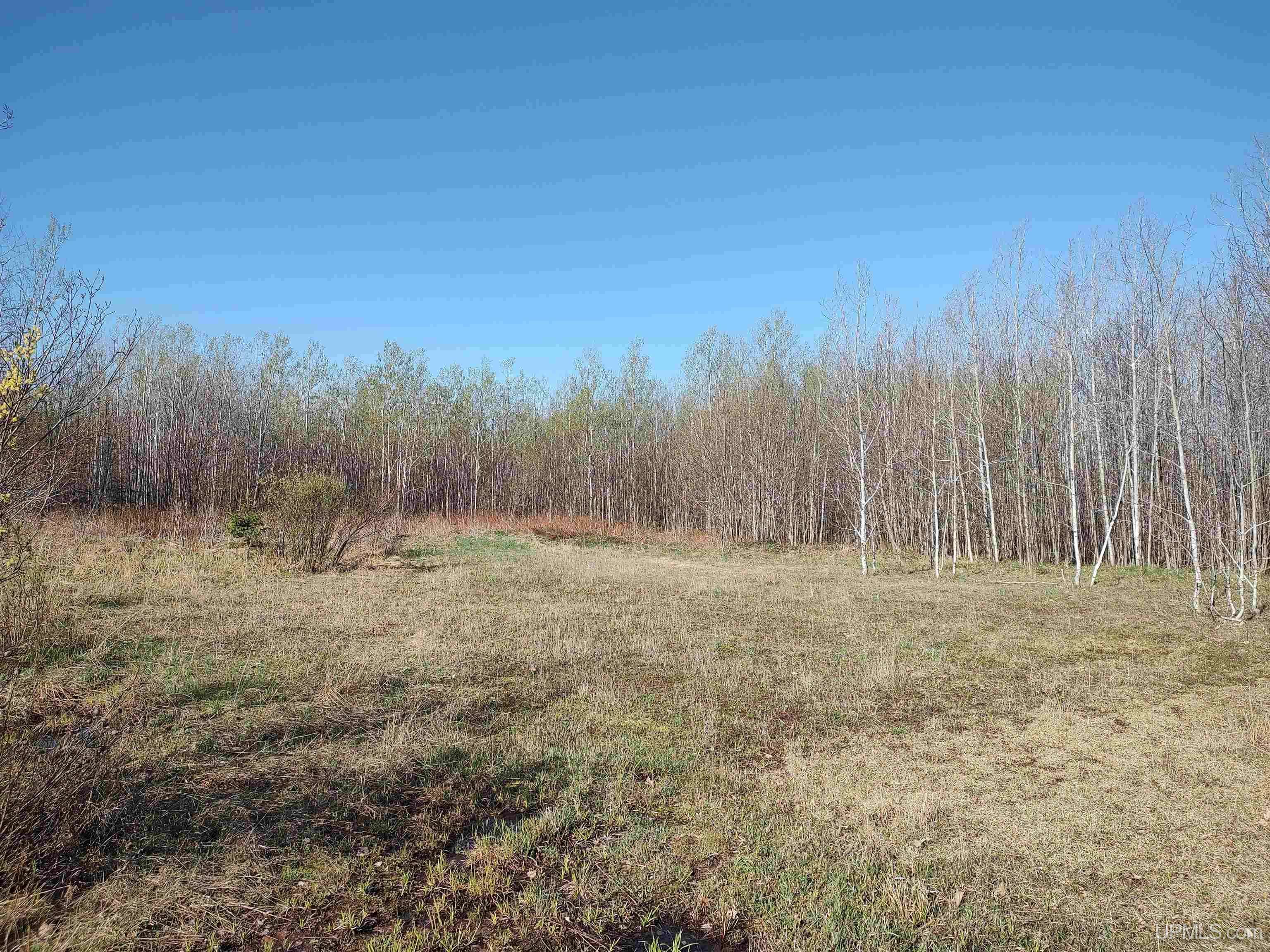 Rockland, MI 49960,TBD Schooner Road