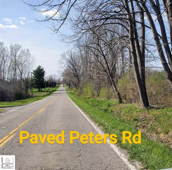 Columbiaville, MI 48421,Parcels C&D Peters and Klam Roads